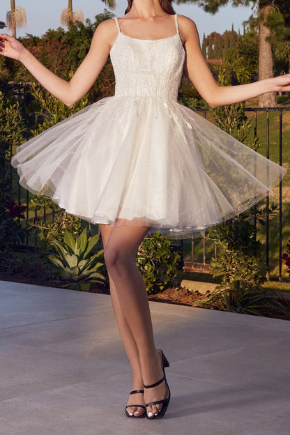 A line Scoop Appliques Cute Short Homecoming Party Dress QH2355