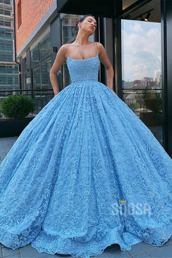 Ball Gown Sky Blue Exquisite Lace Long Prom Dress Formal Evening Gowns ...