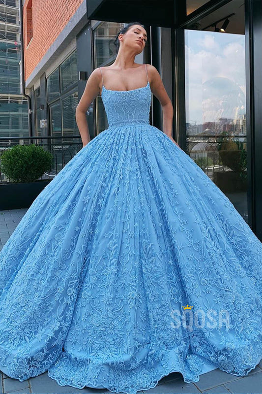 Ball Gown Sky Blue Exquisite Lace Long Prom Dress Formal Evening Gowns QP1247